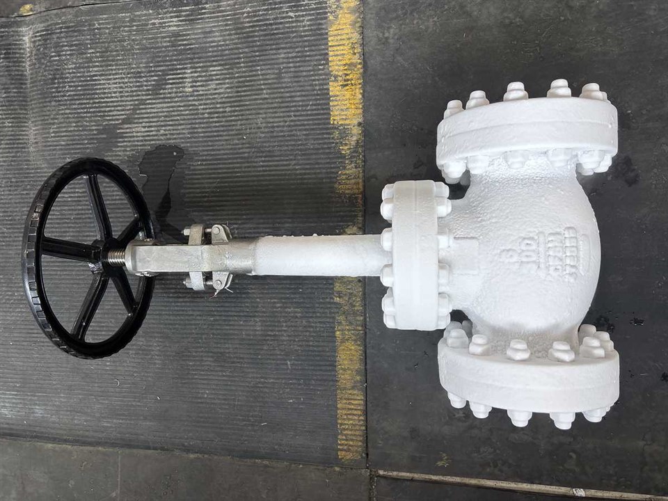 Kriogeni globusni ventil